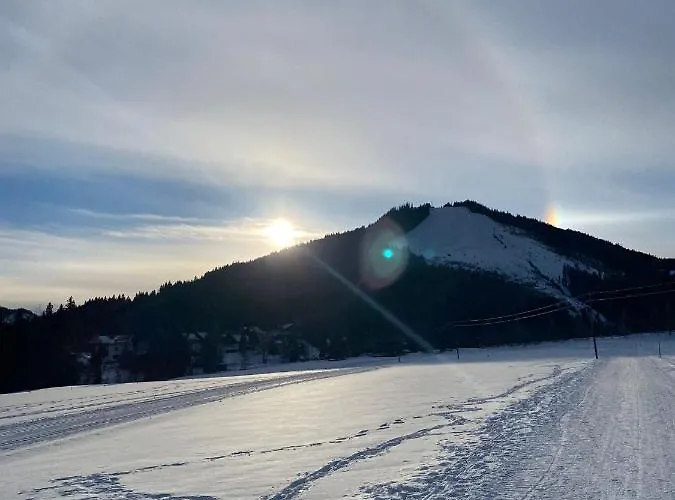 木屋 Dachstein 拉姆绍达赫斯坦