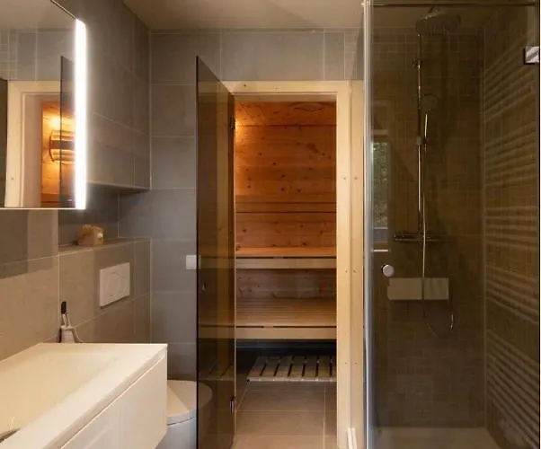 Dachstein 木屋 拉姆绍达赫斯坦