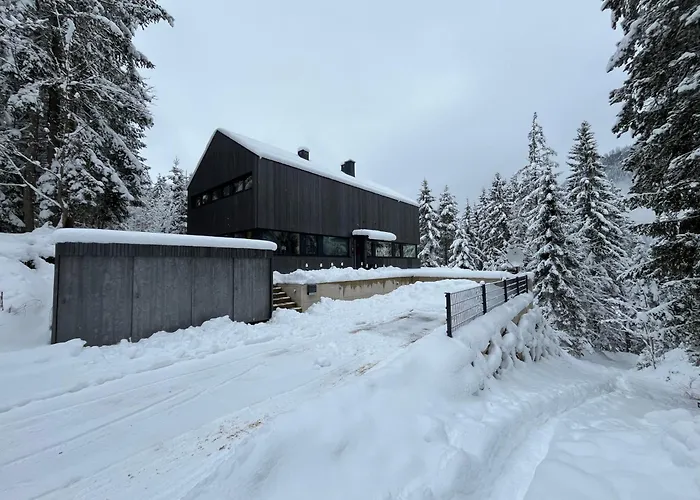 Dachstein 木屋 拉姆绍达赫斯坦